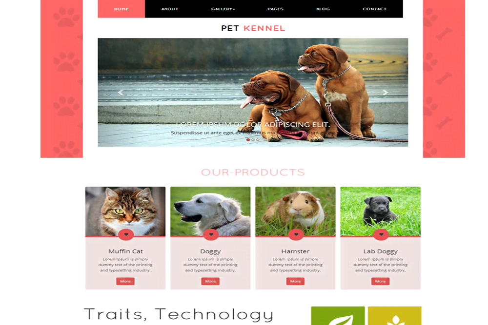 宠物商店整站建设